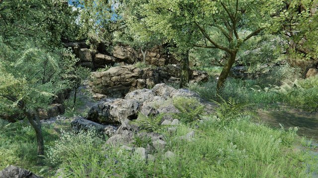 A tropical environment with dense vegetation and cliffs